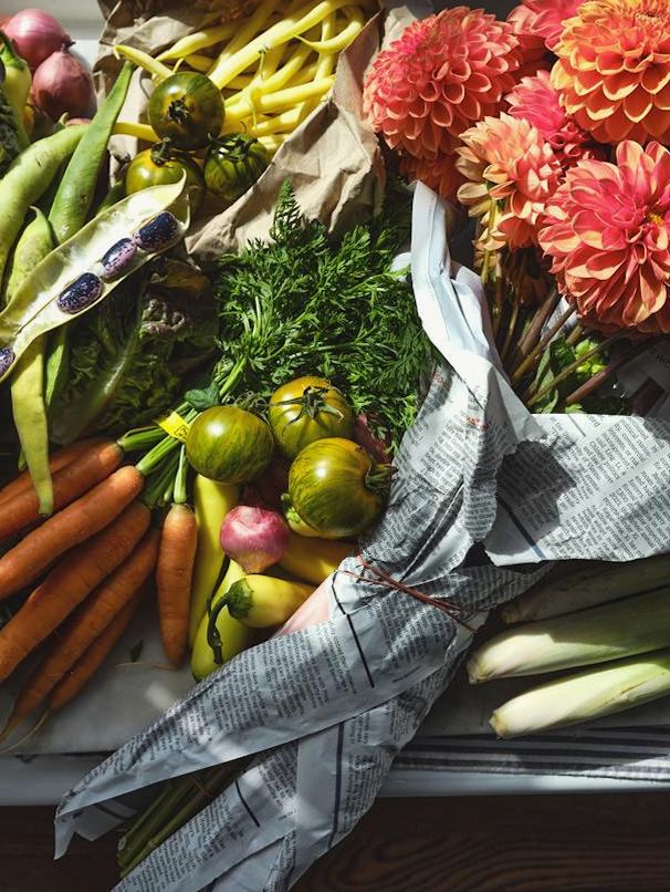 Bahan Alami dan Nutrisi Pendukung Energi Pria - caliva